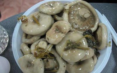 маринование грибов горячим способом рецепты