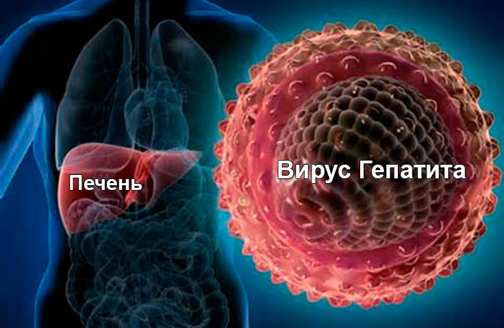 Лечение Гепатита С