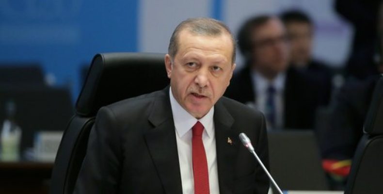 Президент Турции пригрозил судом любому, кто его оскорбит