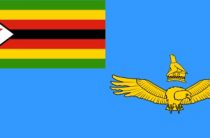 Школьник в Зимбабве погиб от зенитного выстрела во