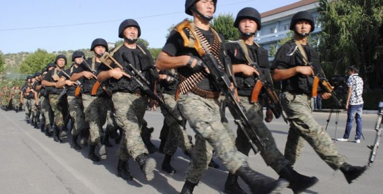 Россия поможет Киргизии создать высокопрофессиональную армию Россия поможет