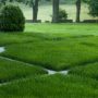 Ландшафтный дизайн. Продажа и укладка рулонного газона от “Газоны и Ландшафты”