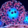 Ученые открыли гигантские вирусы Франкенштейны