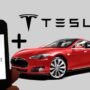 Tesla отказалась сотрудничать с Uber